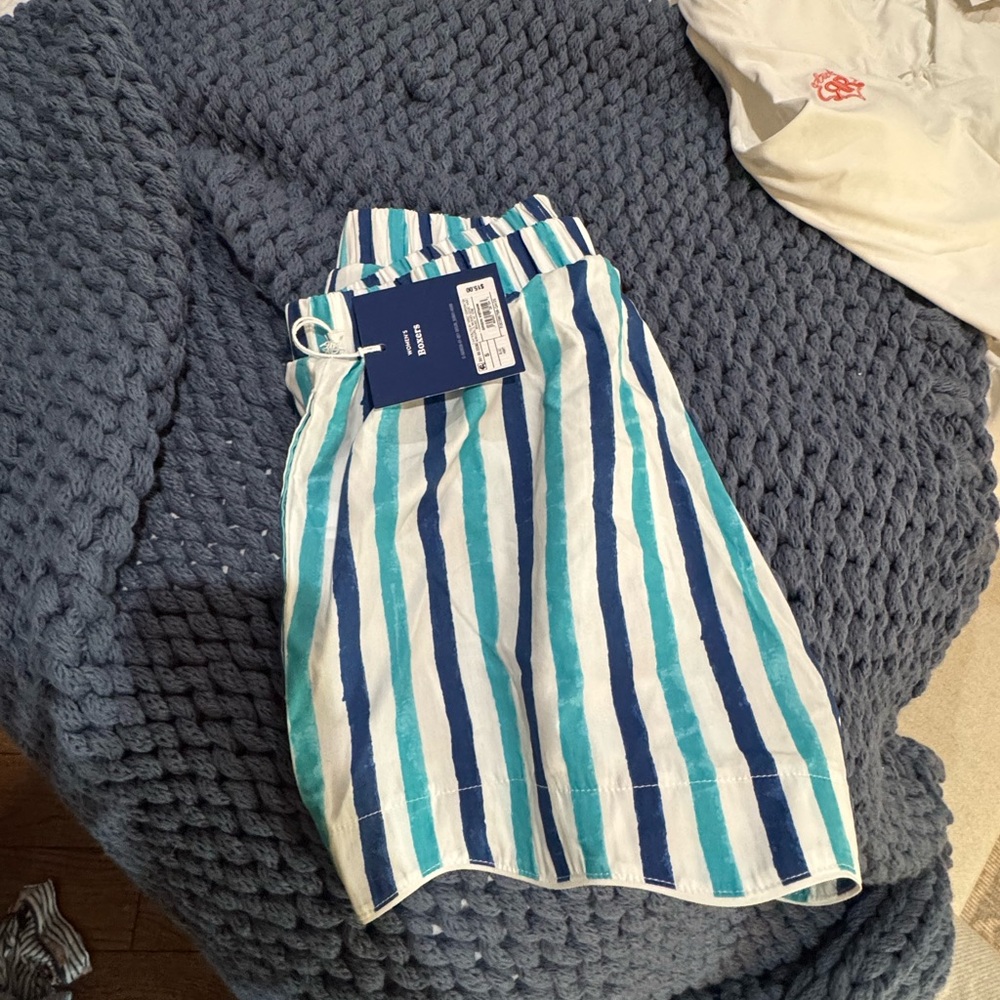 Roller Rabbit x Target Collab Blue Stripe Boxer Shorts
